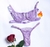 Conjunto gringa - loja online