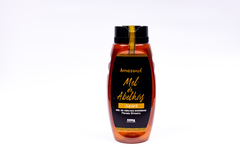 MEL DE ABELHAS SEM FERRÃO AMAZÔNICAS. - comprar online