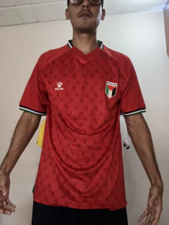 Palestina 2025 en internet