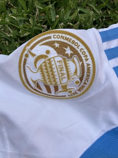 Argentina 2024 / #10 Messi en internet