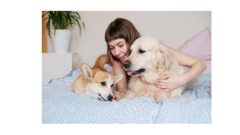 Banner de la categoría Camas