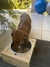 Comedouro para pets Kuia - REALIXO