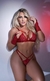 Conjunto de lingerie coração c/luvas vermelho na internet