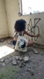 Ecobag Tony Country na internet