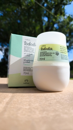 Desodorante Antitranspirante Roll-on Tododia Flor de Lis - comprar online