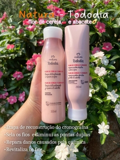 Kit Reparador Tododia Flor de Cereja e Abacate na internet