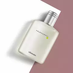 Insensatez Desodorante Colônia 100ml - comprar online