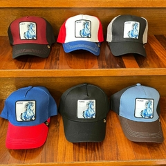 [35] Gorras de Moda - Gorrin Caballo Celeste - Al Azar