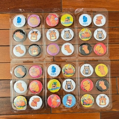 Pins de Capibara- Pack de 6 Al Azar