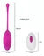 Bala Huevo Vibrador Vaginal Inalambrico Control Remoto Usb en internet