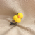 Broche patito