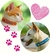 Identificação para Pets