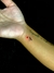 Tatuagem - até 6 centímetros - loja online
