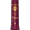 SHAMPOO DISCIPLINANTE LISO COM FORÇA 300ML