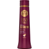 SHAMPOO DISCIPLINANTE LISO COM FORÇA 500ML