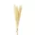 PLANTA DESIDRATADA SORGO - CONJUNTO COM 05 GALHOS - comprar online