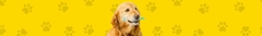 Banner de la categoría Línea cuidado e Higiene perros