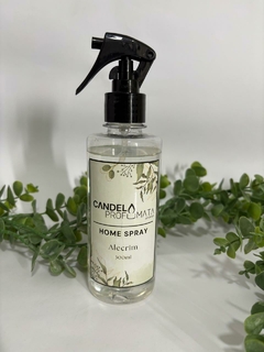 Home Spray Alecrim 300ml - comprar online