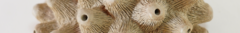 Banner de la categoría Mercedes Zamar