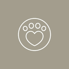 Categoria 7