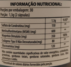 ARTICURAR SULFATO DE CONDROITINA + COLÁGENO T2+ MAGNÉSIO DIMALATO + GLUCOSAMINA + MSM na internet