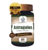 ASTRAGALUS 700MG 60 CAPS - MULTIVITTA