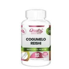 COGUMELO REISHI 60 CAPSULAS 250MG QNUTRI - comprar online