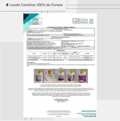 Creatina Monohidratada Micronizada em Pó 1kg NewNutrition na internet