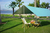 Tenda ultraleve e impermeável - loja online