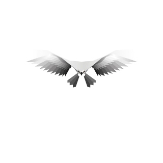 aguila design