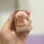Apontador Capivara #2