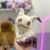 Pelúcia Pikachu Mimikyu - Pokémon na internet
