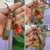Chaveiro 3D Capivara (mini) - comprar online