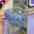 Chaveiro Stitch Amigurumi na internet