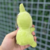 Imagem do Chaveiro pelúcia Pokémon