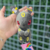 Chaveiro pelúcia Pokémon