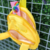 Mochila Pikachu na internet