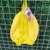 Mochila Pikachu - Arte em Cores