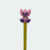 Caneta fofa Stitch #3 na internet