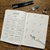 Bullet Journal (Bujo) e canetas na internet