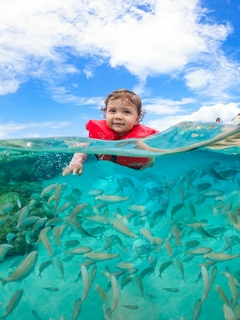 Imagem do Pacote de Fotos SUB
