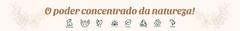 Banner da categoria OIL BLEND