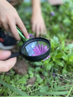 kit explorador