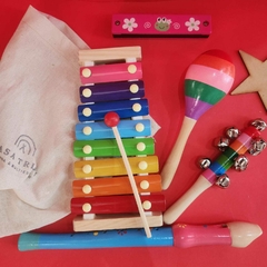 Kit 6 instrumentos musicales
