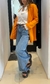 Blazer Alanis en internet