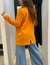Imagen de Blazer Alanis