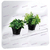Prateleira L 38x12 Cm - comprar online