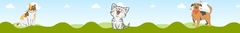Banner da categoria HIGIENE