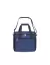 Bolso Conservador/Heladerita Discovery en internet