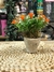 MACETA PORC CHICA C/PLANTA MINI FLORES 11CM - comprar online